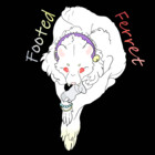 FerretHolder23
