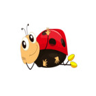 Hassachr
