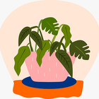 applblossm