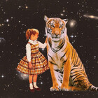dream-collages
