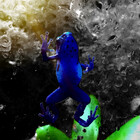Redbubble profile picture for @Scuff