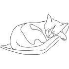 CrookedCatArt