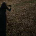 Katala-Holling