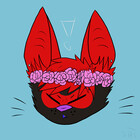 Shaydestuck