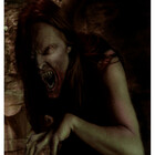 Malorus
