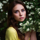 kush-19