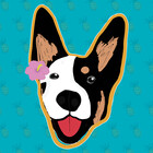 AlohaHound