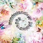 wonderlandnyc