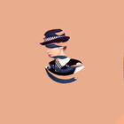 wizmerch