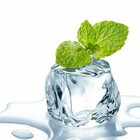 IcemintB
