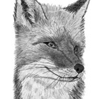 mindful-artist