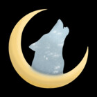 Kyleksm