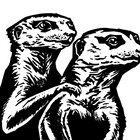 MessyMeerkat