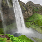 naturesdreams