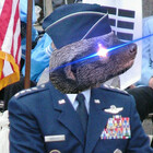 ChairForce