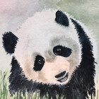 Cyeeart