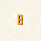 Buckverse