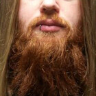 beardlyBEN