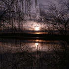 RiverRat