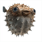 azurebumble