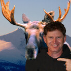 MooseMan