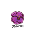 Primrose22
