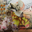 songbirdcollage