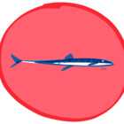 FreshMackerel