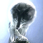 GreatGreatWolf