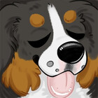 DutchDogStudio