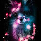 Summerfox123