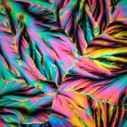 thepsychonaut