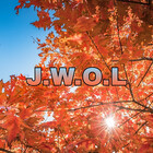 JoyWayOfLife