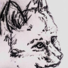 FennecSageFox