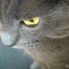 blackitty129