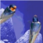 LastLittleBird