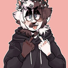 cat-brat
