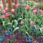 GardenArtworks