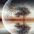 Alshab