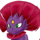 umbraregis