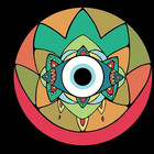 fungyespora