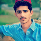 javed8113
