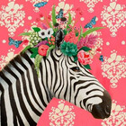 Zebra-fashion