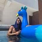 wariocusto