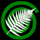 CreateShape