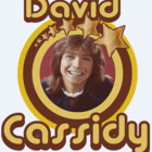DavidCassidyPop