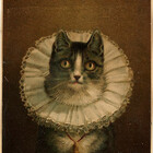 ExclusiveKitsch
