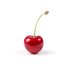 CherryDamzel