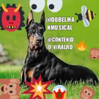 Dobelmanmusical