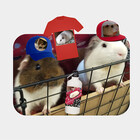 IceCreamPiggies